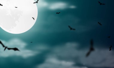 Cadılar Bayramı Partisi posteri. Karnaval Arkaplan Tasarımı 