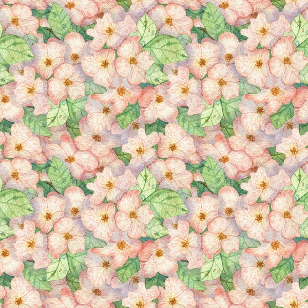 Hand drawn watercolor seamless floral pattern. Background with pink flowers of apple tree and leaves. Botanical texture for design, wrapping paper, fabrics, textiles, wallpapers, postcards, etc.