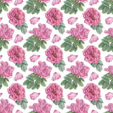 Pembe çiçekler, taç yaprakları ve yapraklarla elle çizilmiş, pürüzsüz bir desen. Beyaz arka planda yalıtılmış bitki elementleri. Dekorasyon, ambalaj, kumaş, tasarım vs. için botanik doku.