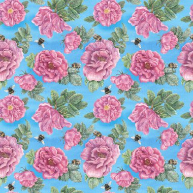 Elle çizilmiş dikişsiz çiçek deseni. Mavi bir suluboya arka planda yabani gül ve yaban arılarının pembe çiçekleri. Dekorasyon, ambalaj, kumaşlar, tasarımlar vs. için botanik illüstrasyon.