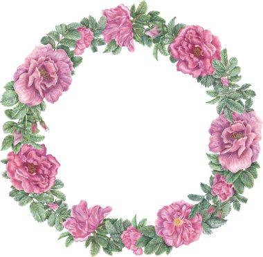 Gül ve yapraklı yuvarlak çelenk. El çizimi, botanik çerçeve. Tasarım, kartlar, davetiyeler için bitki çizimleri.