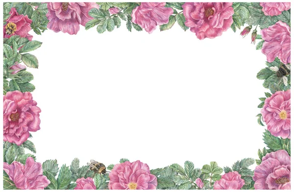 Rectangular Frame Rose Flowers Leaves Bumblebees Hand Drawn Graphic Botanical — Stock Photo, Image