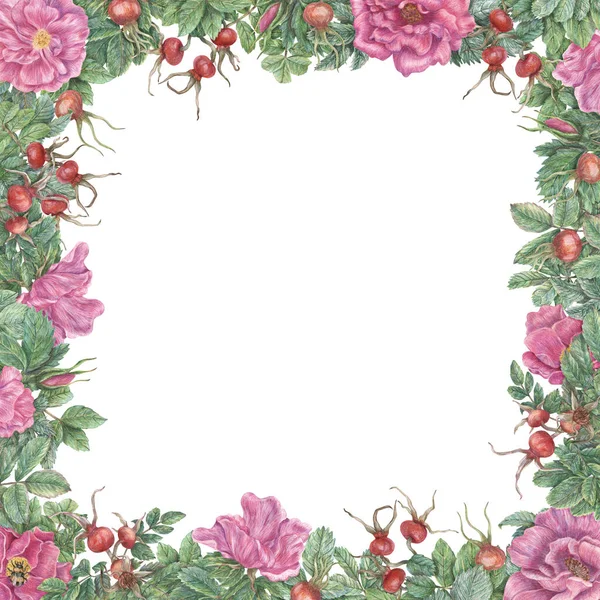 Vierkant Frame Met Bloemen Bladeren Rozenbottels Handgetekende Grafische Botanische Rand — Stockfoto