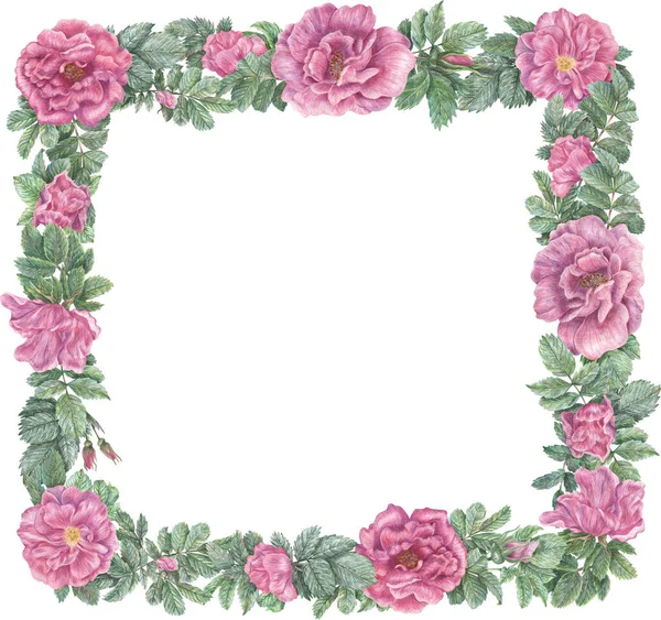 Square Frame Rose Flowers Leaves Hand Drawn Graphic Botanical Border — Stock Photo, Image