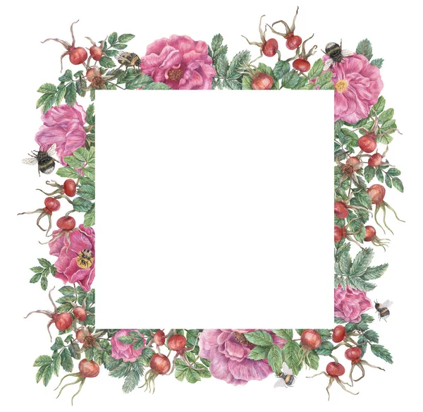 Square Frame Flowers Rose Hips Leaves Bumblebees Hand Drawn Graphic — Stock Photo, Image