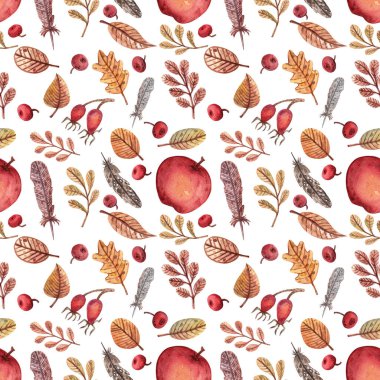 Sonbahar temalı el yapımı suluboya desenler. Çeşitli sonbahar yaprakları, kuş tüyleri, kırmızı elmalar ve böğürtlenlerle ambalaj, baskılar, kumaşlar ve benzerleri için hafif arkaplan.