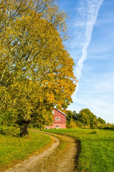 Country road passing autumn colored tree — Stock Photo, Image