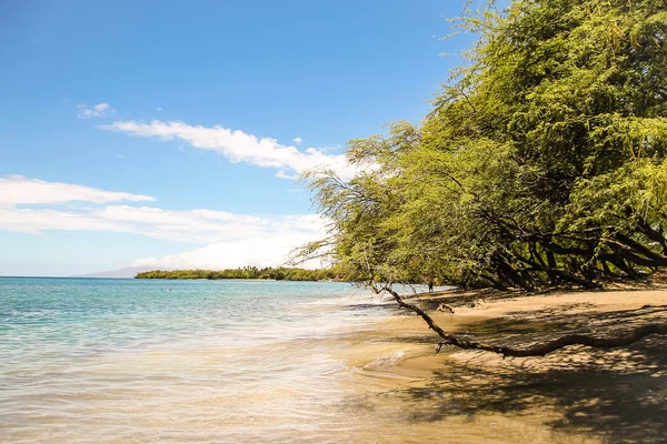 Vackra Maui beach Stockbild