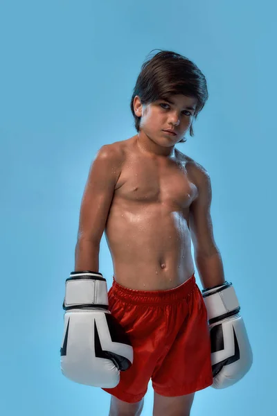 Pequeño boxeador de niño con pantalones cortos rojos y guantes grandes, mirando a la cámara mientras posa, de pie aislado sobre fondo azul — Foto de Stock