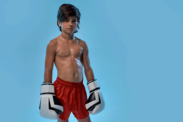 Kleiner sportlicher Boxer in roten Shorts und großen Handschuhen, beim Posieren in die Kamera blickend, isoliert vor blauem Hintergrund stehend — Stockfoto