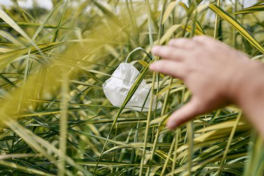 Kirlilik konsepti. Gönüllü, parkta yerden plastik bir torba alıyor.