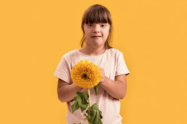 Retrato de menina com deficiência com síndrome de Down olhando para a câmera enquanto posando com flor do sol isolado sobre fundo amarelo — Fotografia de Stock