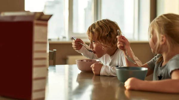 Lindos niños pequeños comiendo cereales de chocolate con leche para el desayuno mientras se sientan juntos en la mesa en la cocina — Foto de Stock