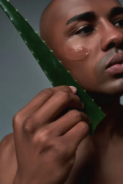 Close-up tiro de belo jovem afro-americano olhando para o lado, segurando folha fresca de Aloe Vera enquanto posando com gel aplicado em sua bochecha isolado sobre fundo cinza — Fotografia de Stock