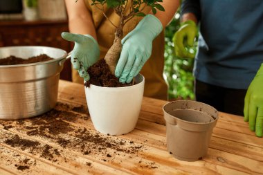 Erkek ile birlikte çalışan kadın nakil tesisi