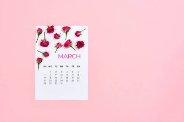 Mutlu Kadın Günleri. Mart takvimindeki küçük pembe güller Pembe pastel arka planda