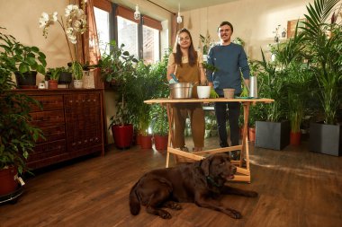 Mutlu bir çiftin önünde yatan köpek, bitki nakli yapıyor.