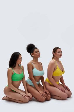 Beyaz arka planda dizlerinin üzerinde izole bir şekilde otururken renkli iç çamaşırlı çekici genç kadınların uzun pozu.