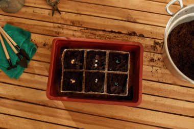 Toprakta sebze yetiştirmek için yatan tahıllar.