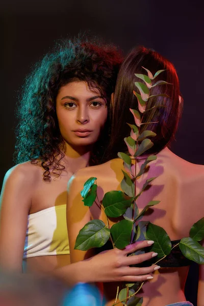 Creative shot of two brunette women with different hair types posing together, holding green plant, standing in neon light isolated over black background