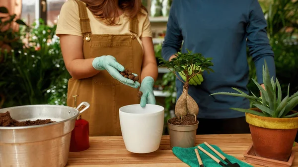 Genç bahçıvanların masanin yaninda dikilip, evdeki yeni saksıya ev bitkisi naklederken drenaj dökerek çekim yapmalari.