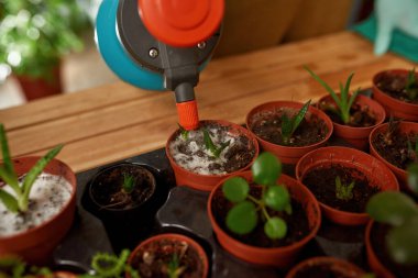 Bahçıvanın bitkiyle beslenmesi için sıvı gübre püskürttüğü yeri kapatın.