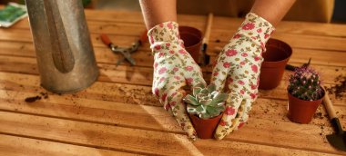 Bahçedeki bitkilerle ilgilenen kız.