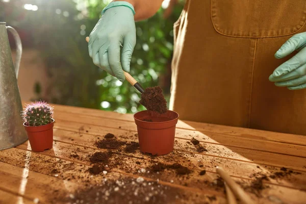 Farmer in special clothes transplanting a plant