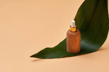 Yeşil yapraklı ahşap şişe, bej arka planda izole edilmiş. Sıfır atık ve ekolojik bilinç