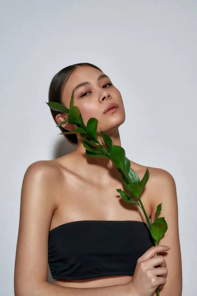 Retrato de uma jovem magnífica menina asiática semi-nua em um rosto tocando top preto com uma planta — Fotografia de Stock