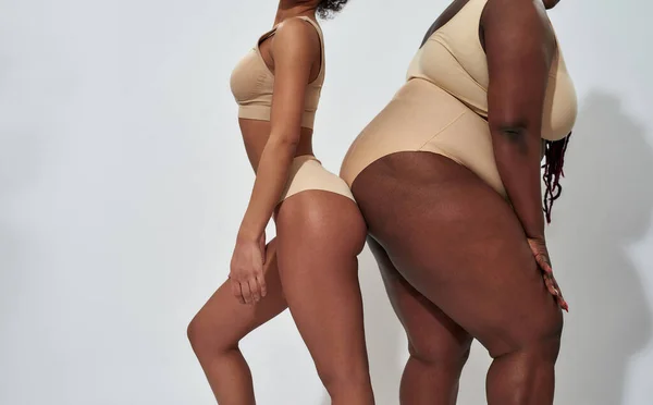 Gehakt schot van lichamen van slanke en zwaarlijvige vrouwen in ondergoed staan rug aan rug geïsoleerd over grijze achtergrond — Stockfoto