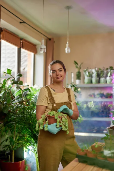 Attractive young woman wearing gloves looking at camera, holding potted houseplant while posing at home — Stock Photo, Image