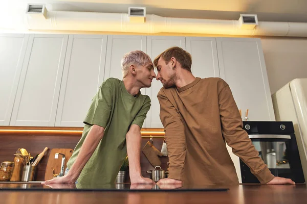 Glücklich homosexuell männlich paar reiben ihre nasen — Stockfoto