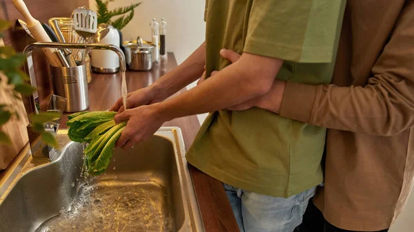 Homoseksüel erkek çift salata yıkarken sarılıyor. — Stok fotoğraf