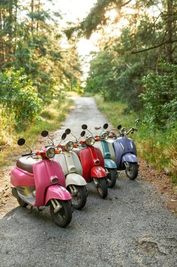 Güneşli ormana park edilmiş renkli scooterlar.