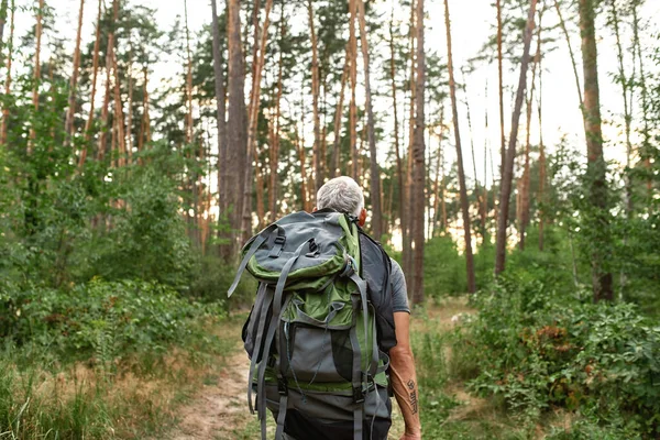 숲 속을 걷고 있는 장성 한 교양인의 뒷모습 — 스톡 사진