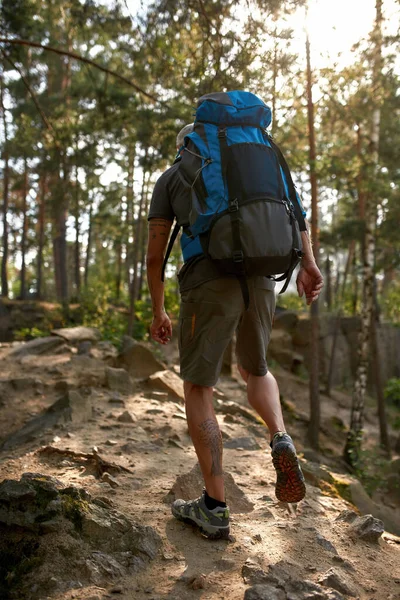 Rear view of caucasian man with tourist backpack trekking — Stock Photo, Image