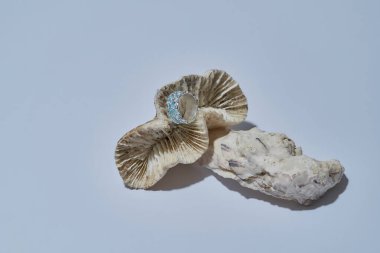 Gümüş metalden yapılmış, deniz kabuklarından izole edilmiş mavi diş minesinden yapılmış bir yüzük.