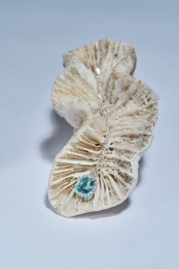 Gümüş ve turkuaz epoksi reçine zincirli yüksek açılı kolye ışık arka planında izole edilmiş bir deniz kabuğu üzerinde.