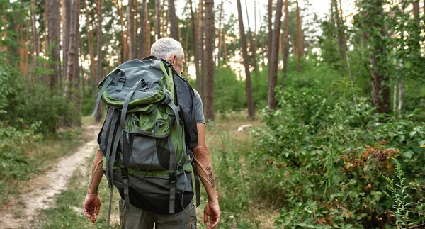 Rear view of mature caucasian man trekking in forest — Stock Photo, Image