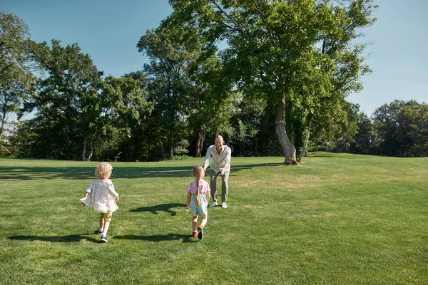 Papa jouant avec deux enfants, garçon et fille dans un parc verdoyant un jour d'été. Bonne famille profitant des loisirs — Photo