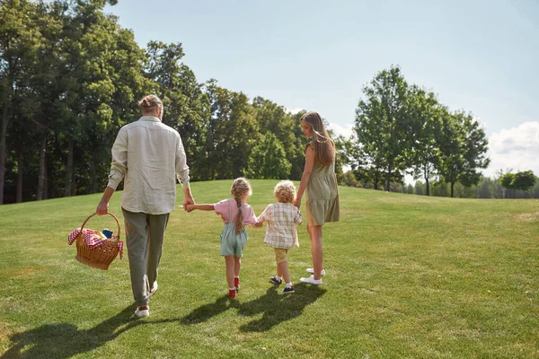 Vista posterior de la joven familia de cuatro personas cogidas de la mano mientras caminan en el parque verde. Familia haciendo picnic en la naturaleza en un día de verano —  Fotos de Stock
