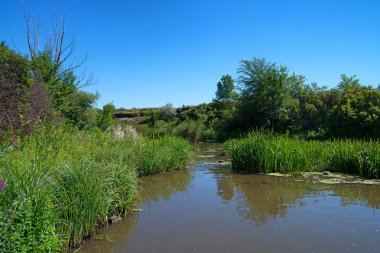 Bozkır ve nehir manzara