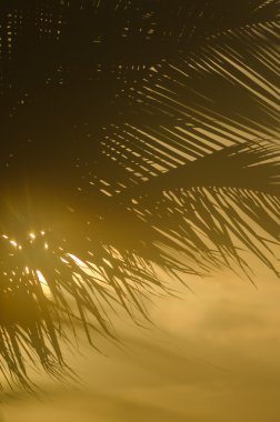 Tropikal dikey arka plan