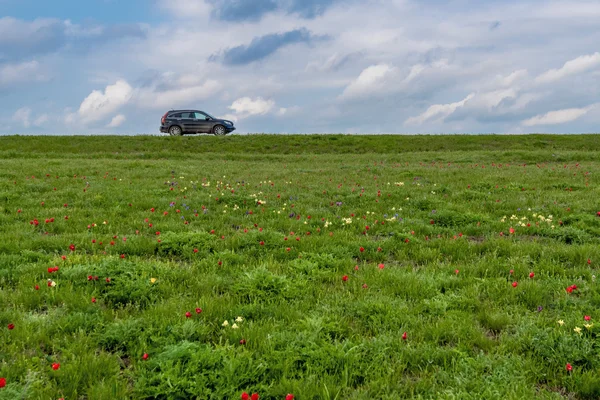 Voyage en voiture — Photo