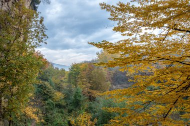 Fantezi sonbahar manzara