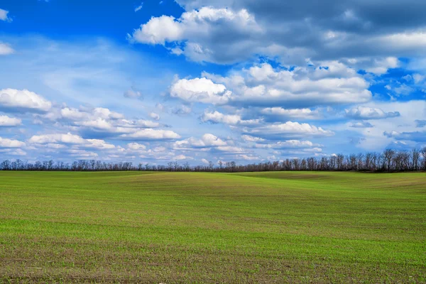 Campo e paisagem nublada — Fotografia de Stock