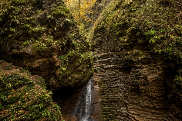 Forest waterfall in the fall — Stock Photo, Image