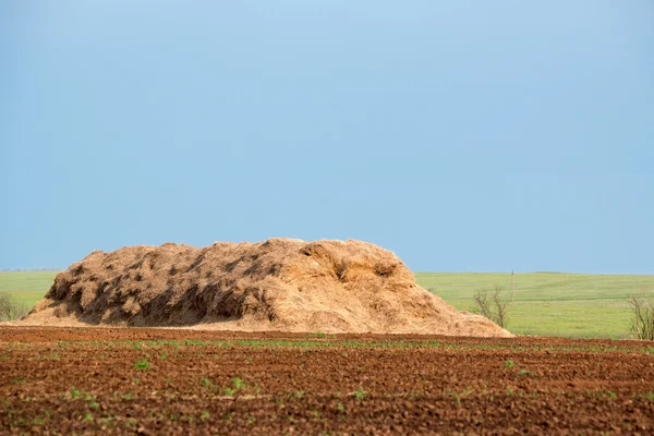 Huge stack of straw — Stock Photo, Image