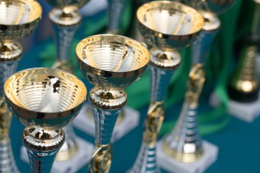 Altın bardak spor yarışmaları ödül olarak